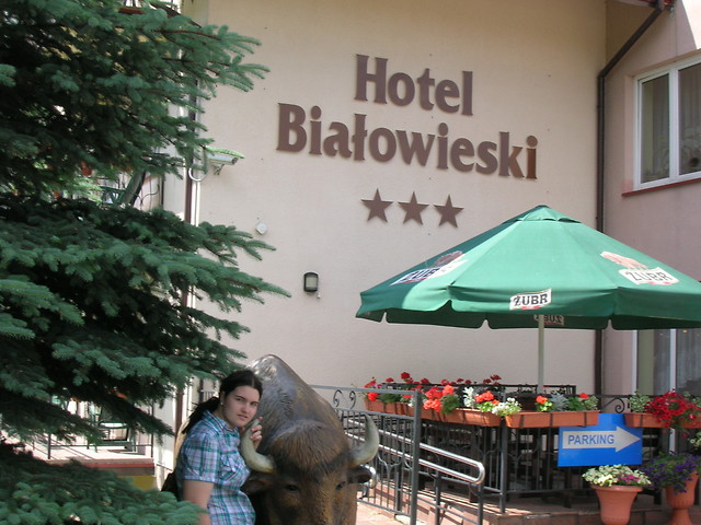 Wesele w Biaowiey