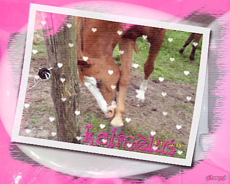 Wpis karmelowaax