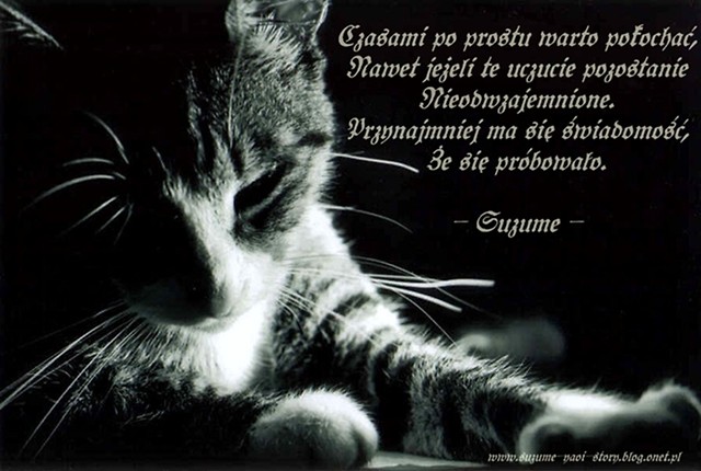poegnanie...