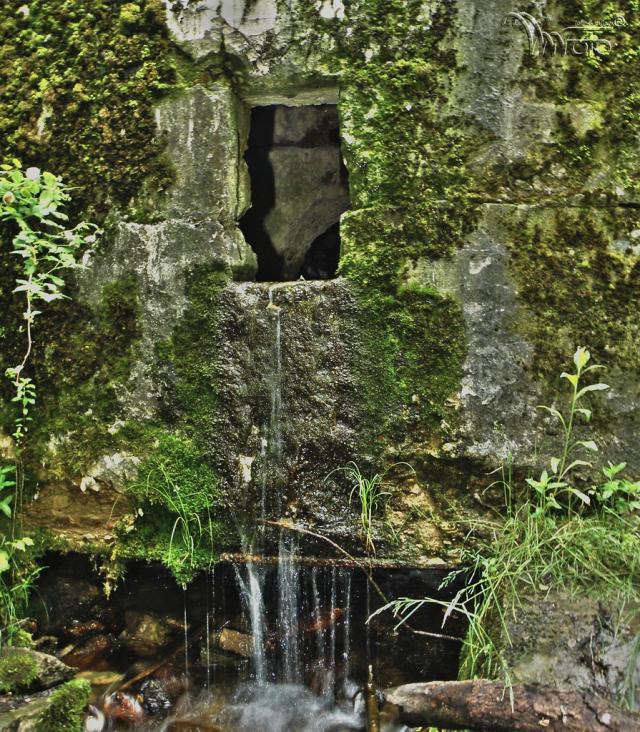 Wpis wojciechwnuk