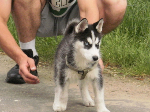 Moj Piesek .. ;] 