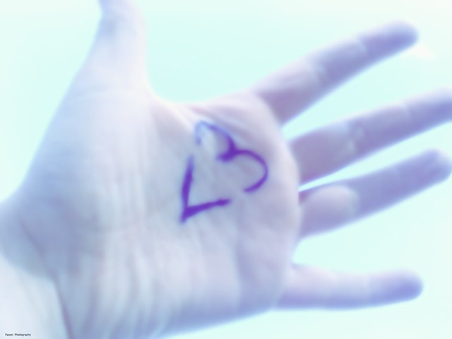 photo13