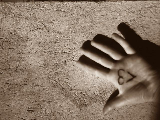 14photo