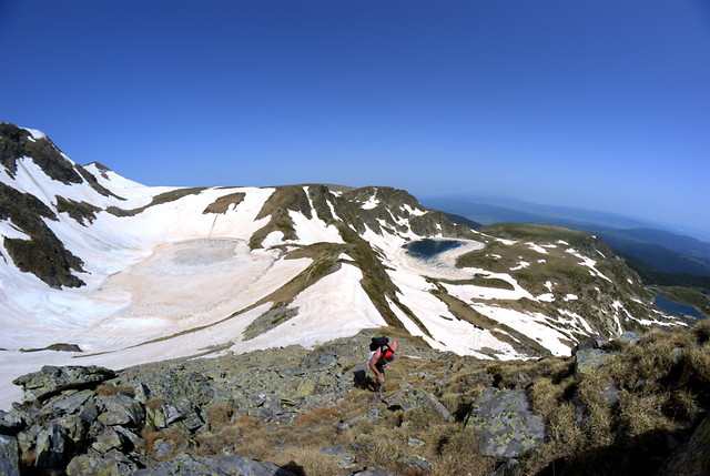 Wpis wiktorzee
