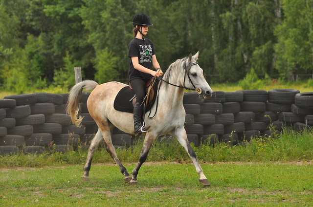 Pancik  ; *