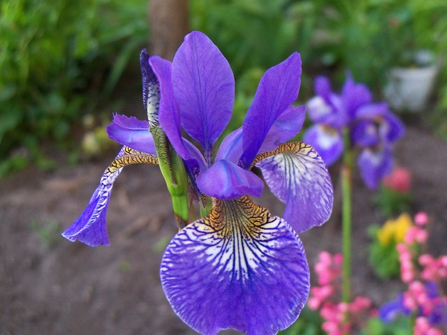 16.06.2010