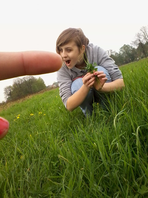lub i kropka