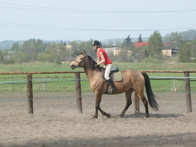 Doza: * 