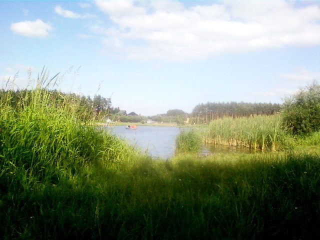 Wpis mossowa