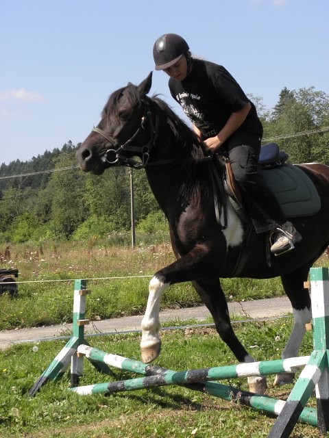 Murciu:*
