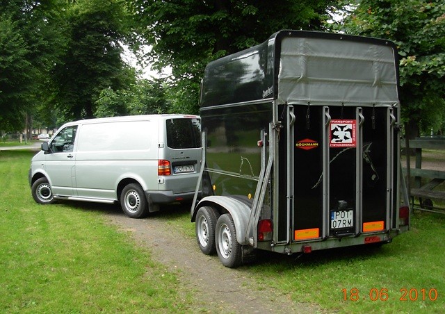 Transport koni