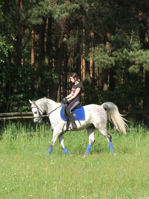 Wpis arabiclady