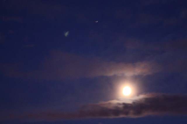 Sun? Moon? xd