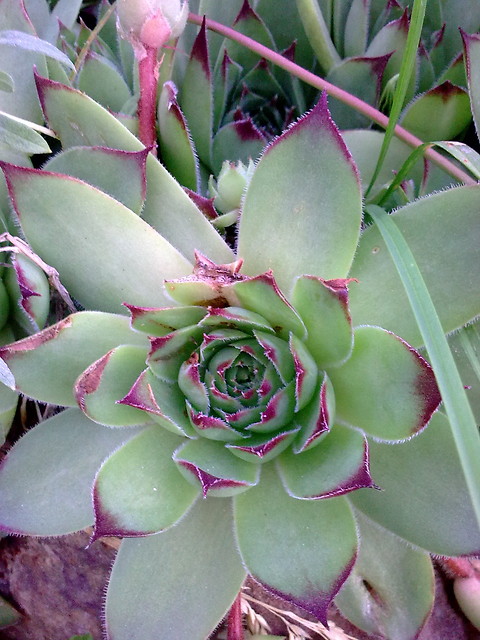 2.