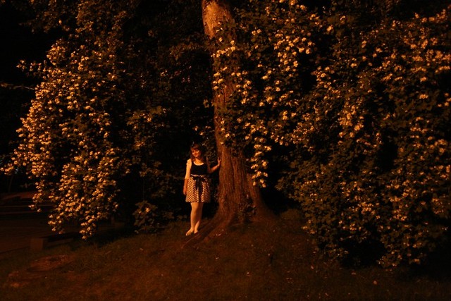 wonderland