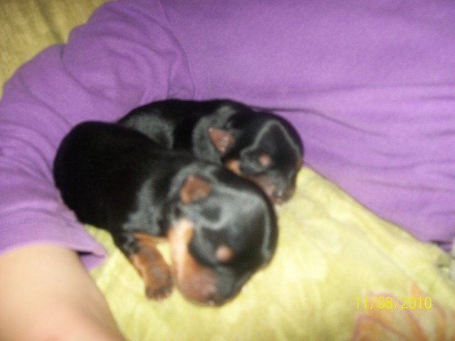 nasze malestwa :)