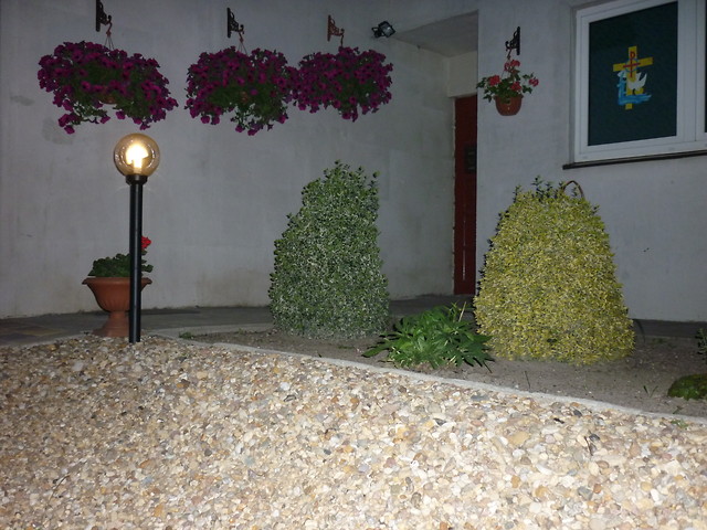 Panasonic Fz 8 - iso 400