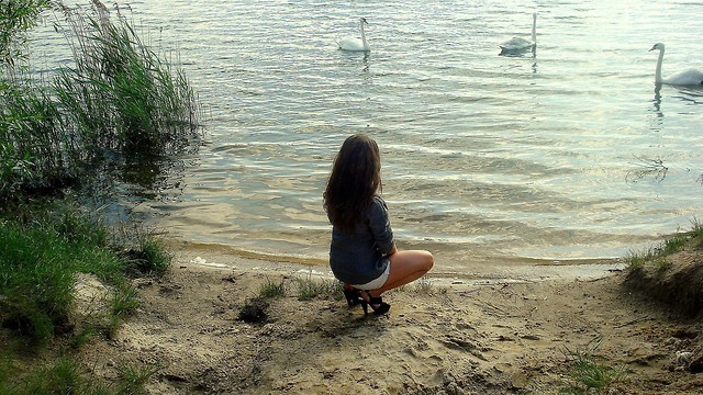 Wpis filigranovaa