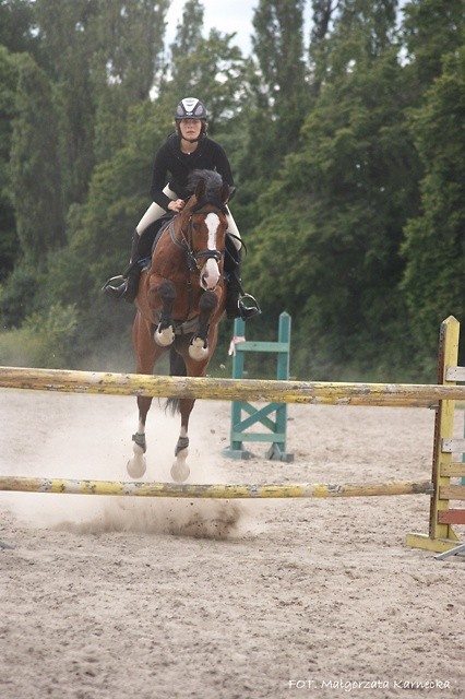Wpis equestrian
