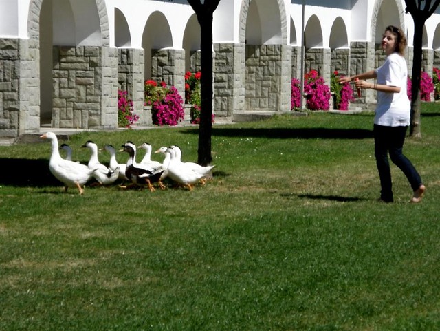 Wpis przesilenieletnie