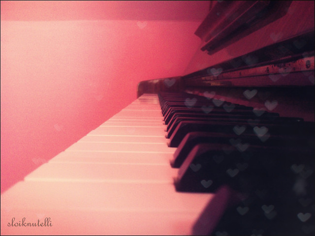 Wpis missvanity