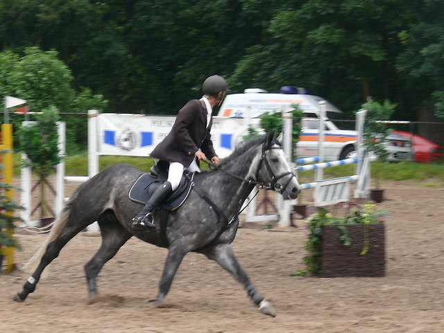 Wpis raczus26