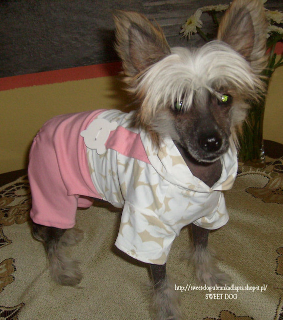 UBRANKA DLA PSA OD SWEET DOG !