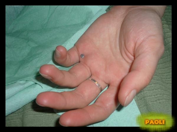 Handweb
