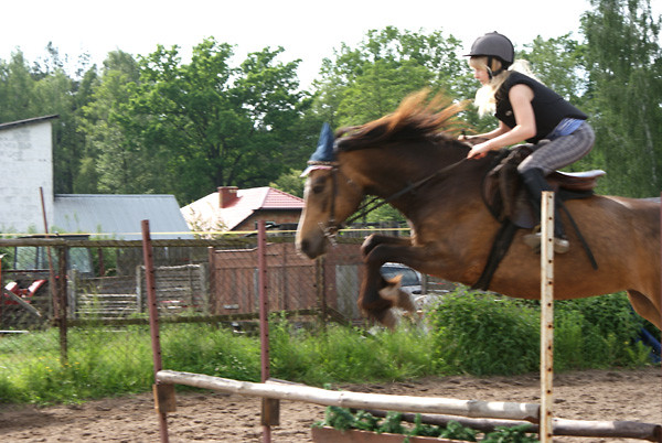 Wpis unicornn