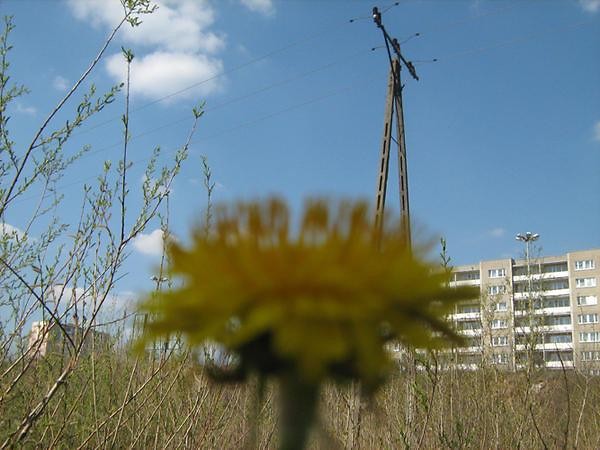 Wpis zepsutykorek