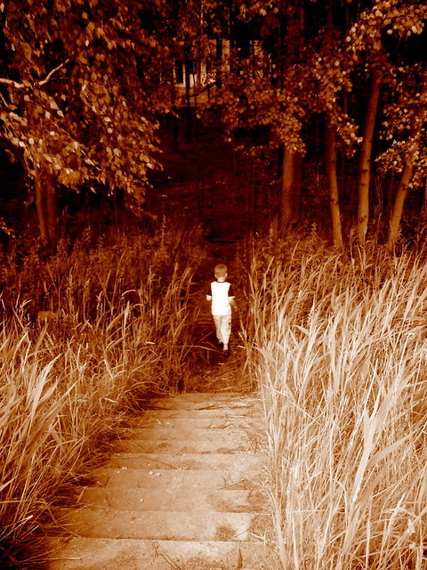 Little discoverer.