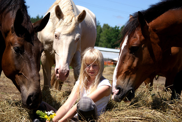 Wpis unicornn