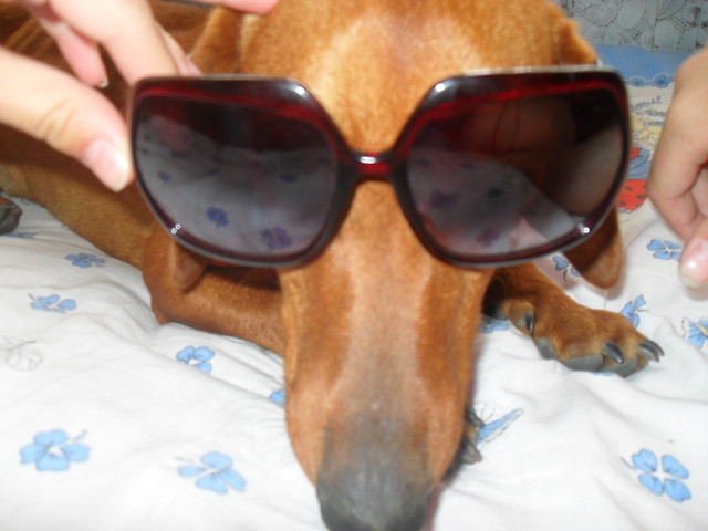 Wpis magicme