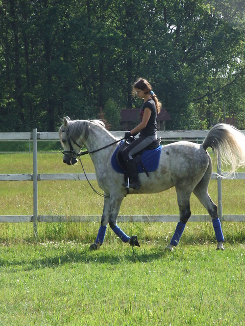 Wpis arabiclady