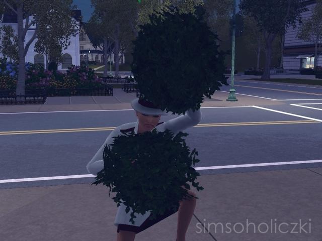 Wpis simsoholiczki