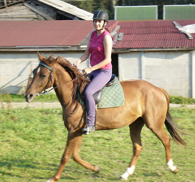 Wpis plemniczka