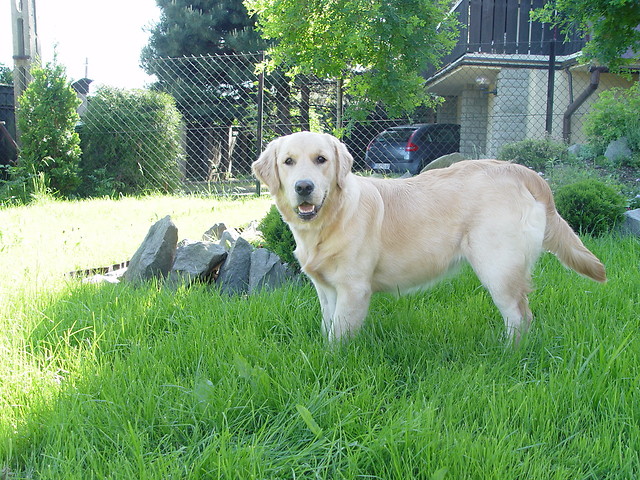 Nessie < 3