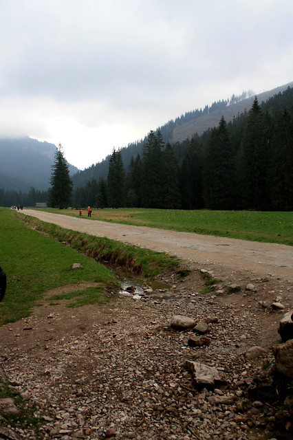 Wpis xolkafasolka
