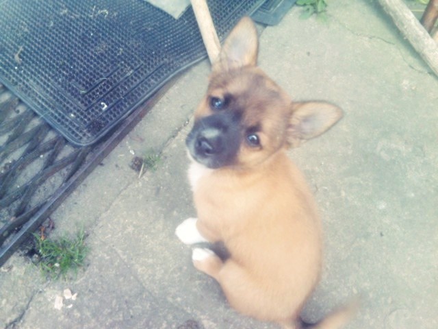 Roxi. 
