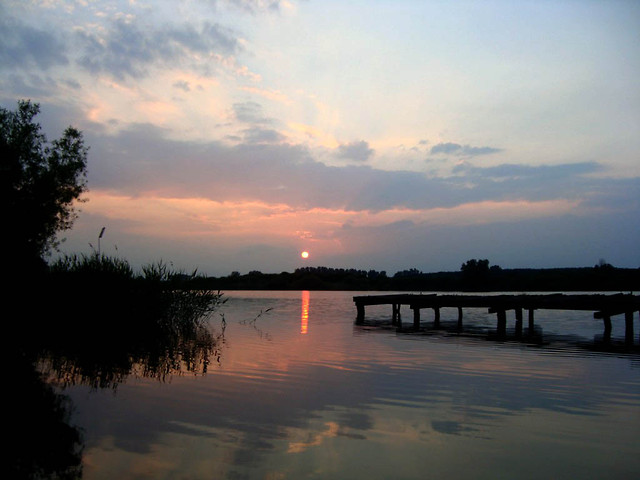Wpis arunia