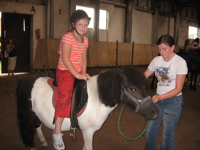KONIK I JAA