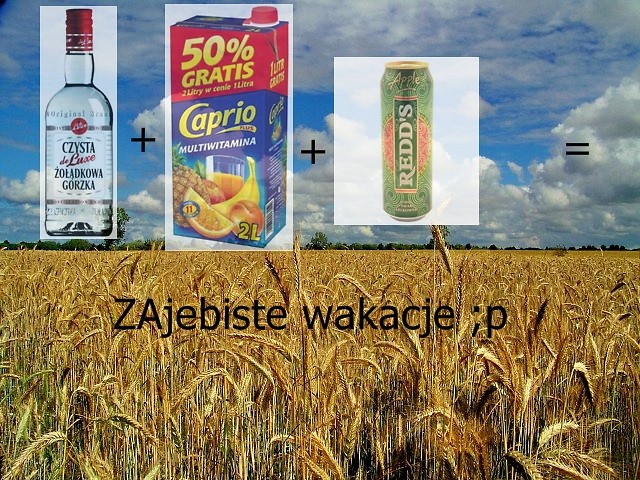 Wakacjee %