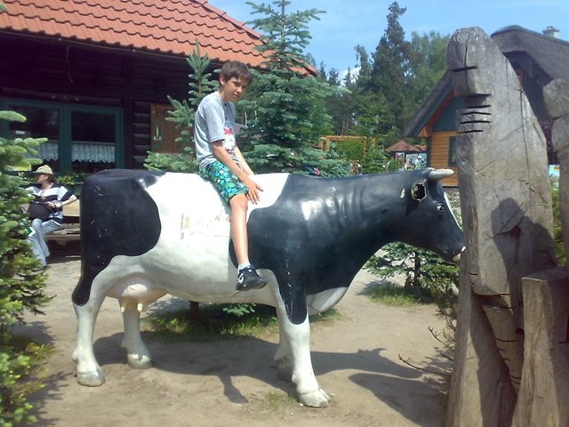 Rogacz XD