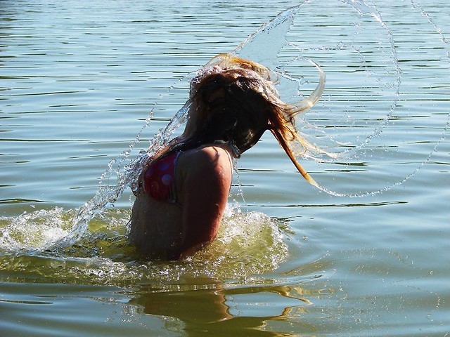 Wpis melpomene