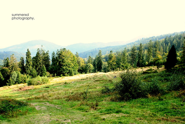Wpis kremnugatowy