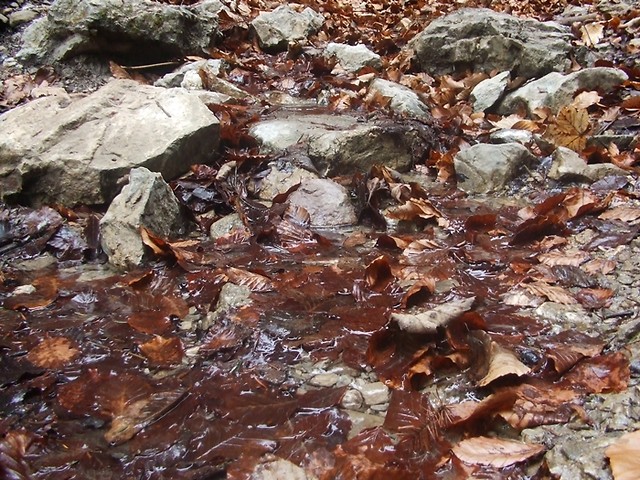 Wpis 40sekund