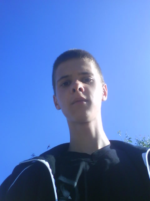 Wpis lesios12