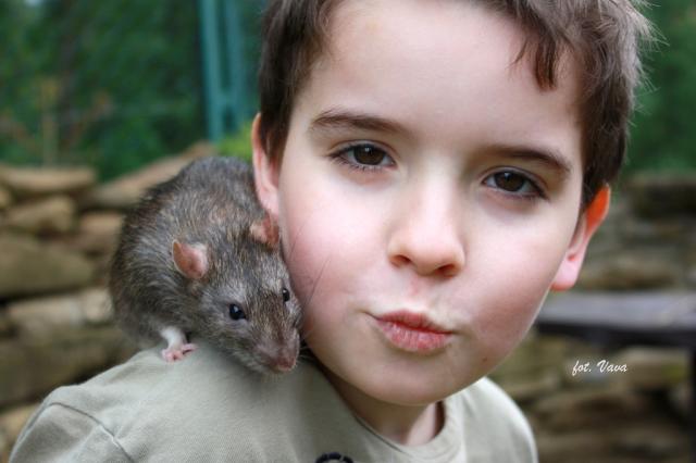 Tymon & Piorun