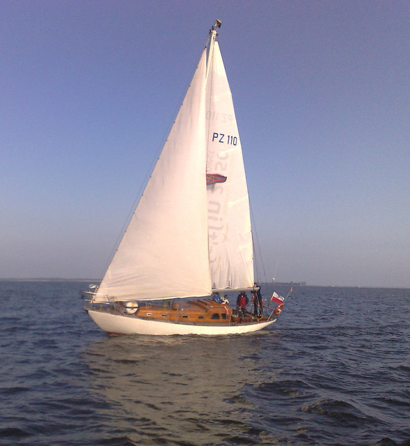 Wpis arunia