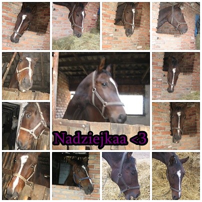 Wpis michzuliebenistmutx3